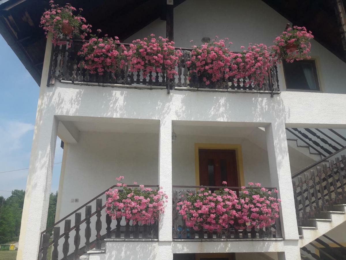 Apartment Gabi Smoljanac Dış mekan fotoğraf